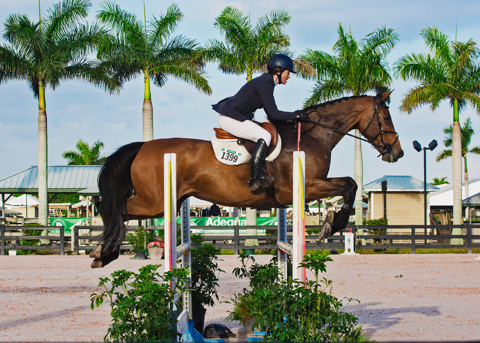 Equestrian show jumping