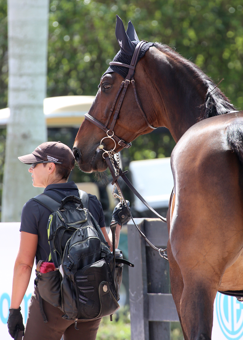 Show jumping groom